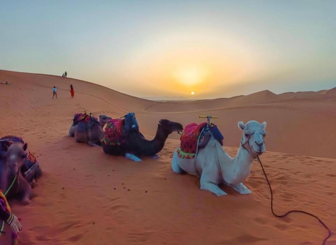 Merzouga Lovely Luxury Camp ภายนอก รูปภาพ